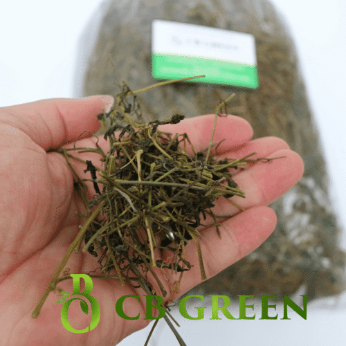 Giảo Cổ Lam Khô - Gói 1 Kg 6 Mua trà giảo cổ lam ở đâu uy tín?