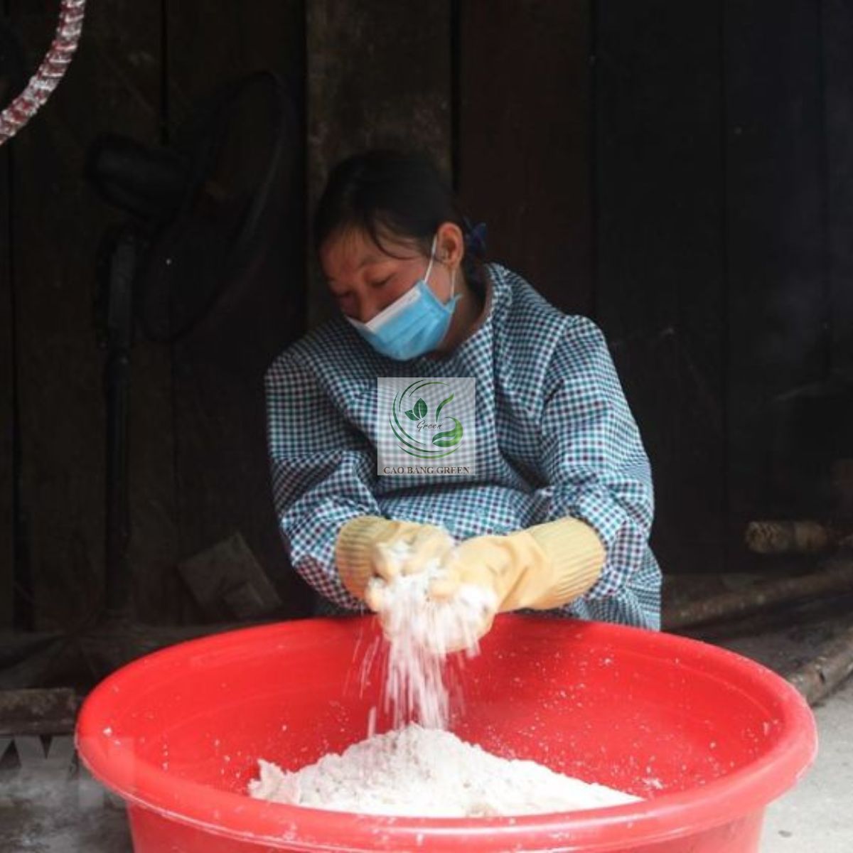 Miến dong Phia Đén - Đặc sản Nguyên Bình 100% dong riềng đỏ 9 Bột dong làm miến dong.