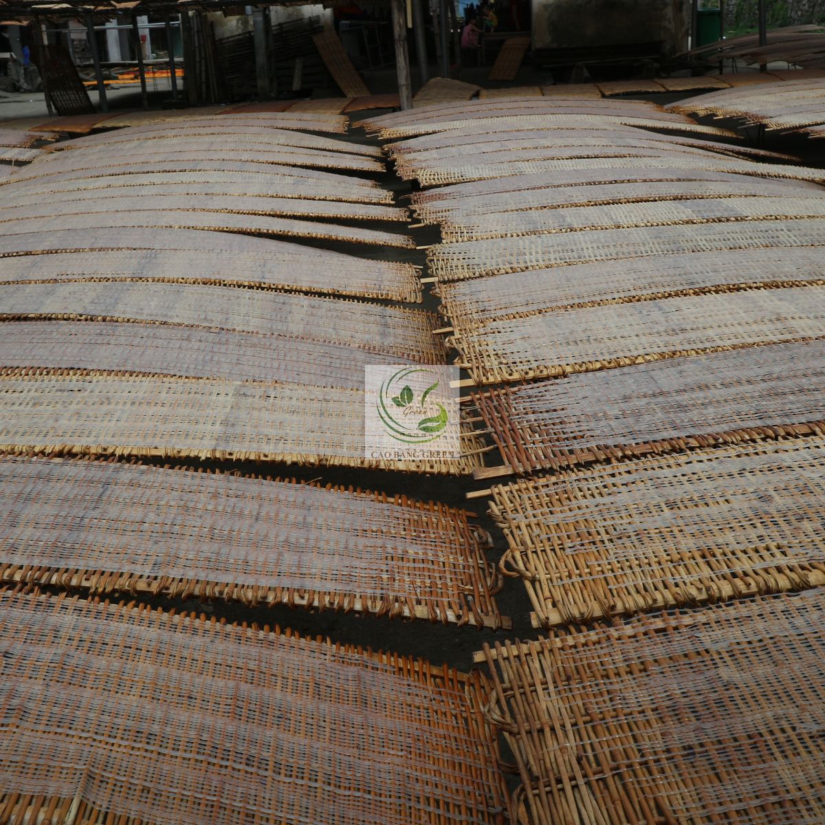 Miến dong Phia Đén - Đặc sản Nguyên Bình 100% dong riềng đỏ 10 Phơi miến dong trước khi cuộn, cân đong để đóng bao bì.