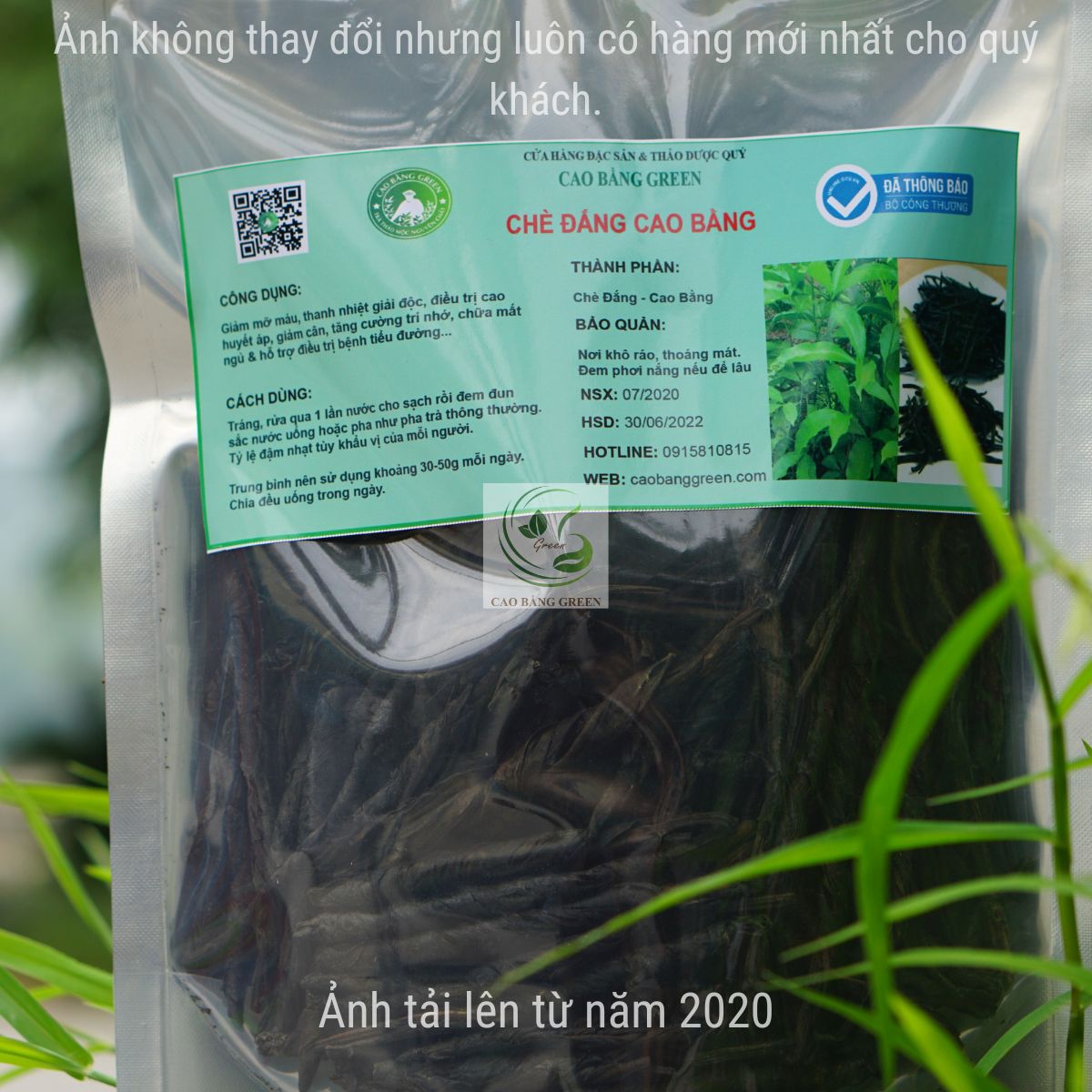 Chè Đắng Cao Bằng - 500g 14 Cách sử dụng chè đắng.