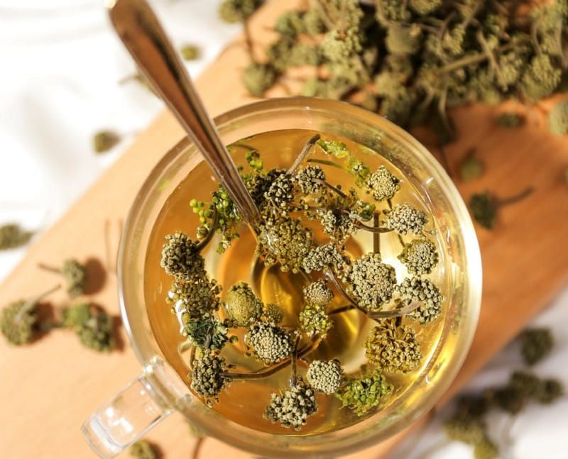 Top 8 loại trà thảo mộc giảm cân hiệu quả nhất hiện nay 2 Trà nụ tam thất.