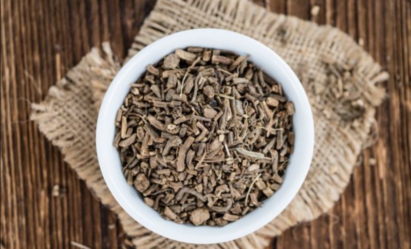 Top 10 loại trà thảo mộc dễ ngủ nên dùng 10 Trà rễ cây Nữ Lang