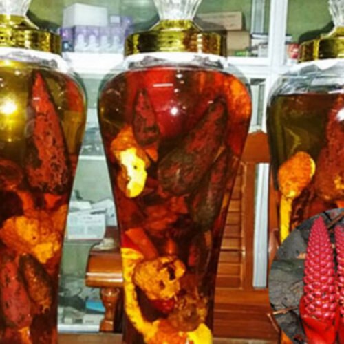 Nấm Ngọc Cẩu Khô - 1 Kg 7 Rượu nấm ngọc cẩu đem lại rất nhiều tác dụng vượt trội khác nhau.