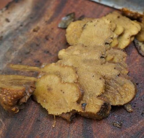 Nấm Ngọc Cẩu Khô - 1 Kg 8 Cách ngâm rượu nấm ngọc cẩu thái lát giúp rượu ngon và nhanh thấm hơn.