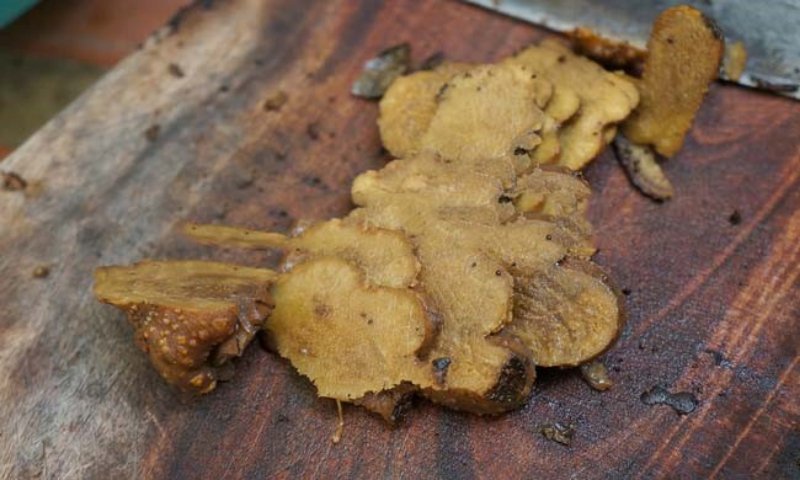 Nấm Ngọc Cẩu Khô - 1 Kg 11 Cách ngâm rượu nấm ngọc cẩu thái lát giúp rượu ngon và nhanh thấm hơn.