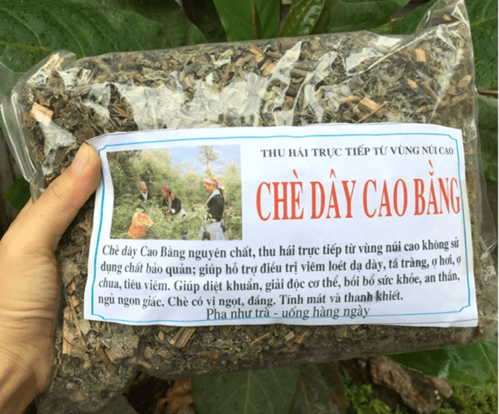 Hướng dẫn cách ủ chè dây đúng cách hiệu quả nhất 45 Cách ủ chè dây