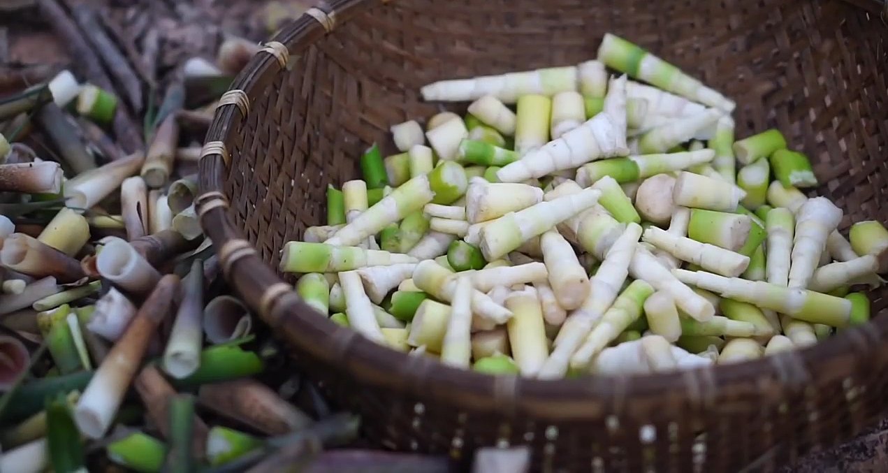 Khám phá món măng rừng miền núi & 8 tác dụng tuyệt vời 5 Độc đáo món măng rừng.