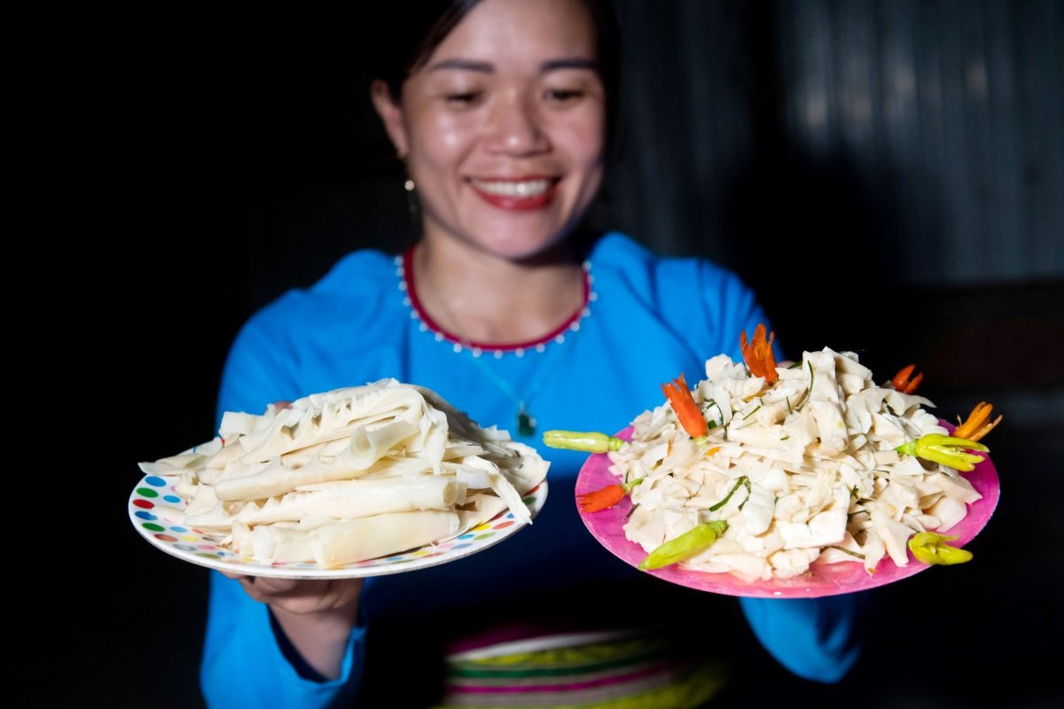 Khám phá món măng rừng miền núi & 8 tác dụng tuyệt vời 3 Món ngon măng rừng phổ biến tại vùng cao mỗi mùa măng đến.