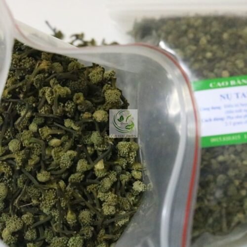 Nụ Tam Thất - 250g 8 Nụ tam thất khô tại Caobanggreen.vn