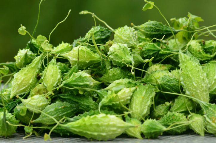 Tác dụng của khổ qua là gì? Những công dụng tuyệt vời 2 Quả khổ qua có vị hơi đắng và sần sùi ở bề mặt.