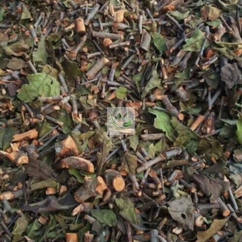 Quy trình chế biến tầm gửi cây gạo tía.