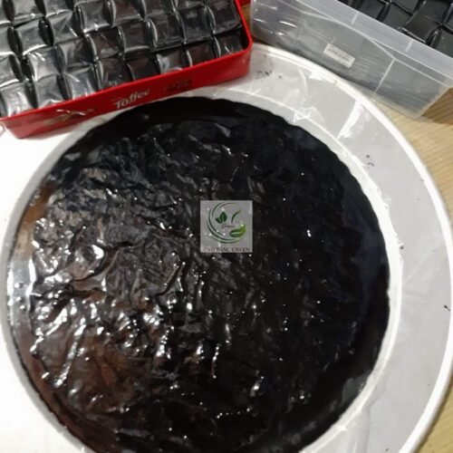 Cao Dạ Dày Hoàng Phèn 10 Cao dạ dày Hoàng Phèn