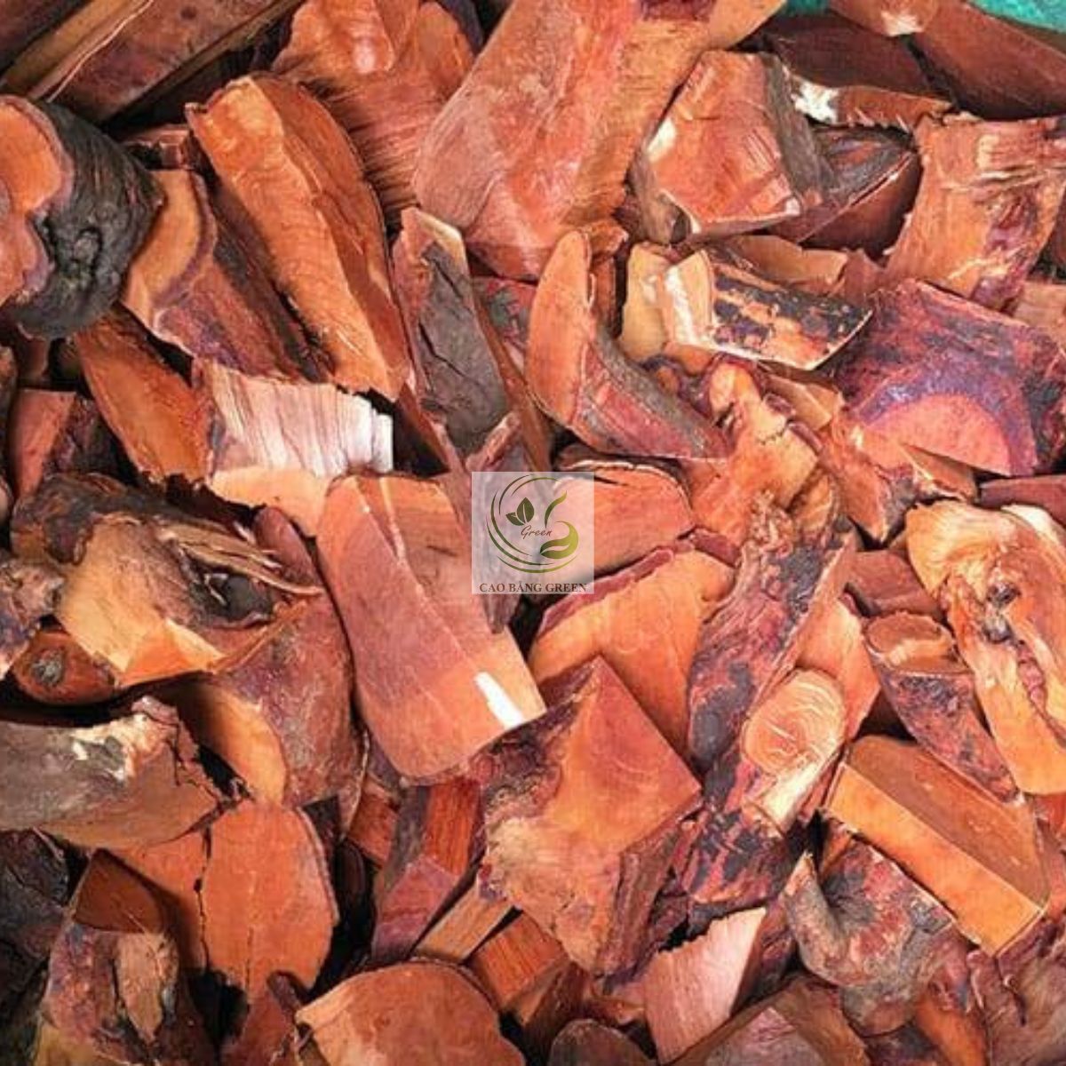 Rễ Cây Mú Từn - 1 Kg 2 Thành phần của cây mú từn.