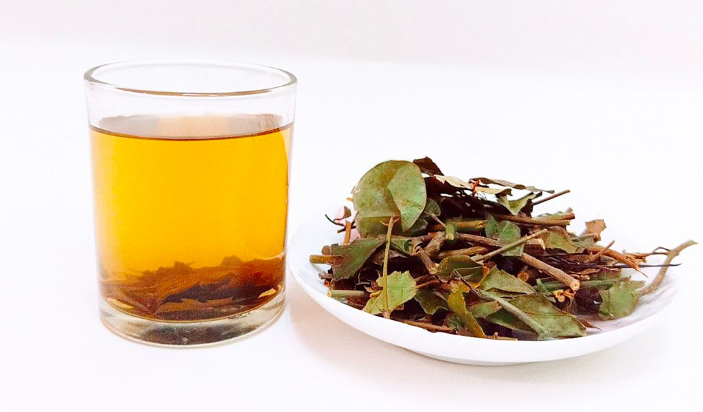 Top 8 loại trà thảo mộc giảm cân hiệu quả nhất hiện nay 7 Chè giảm cân - chè vằng