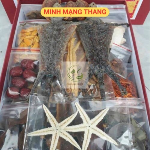 Minh Mạng Thang 8 Minh mạng thang