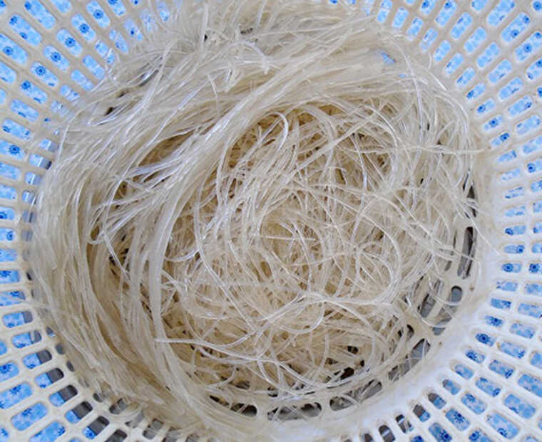 5 cách nấu miến ngon đơn giản tại nhà bạn nên biết