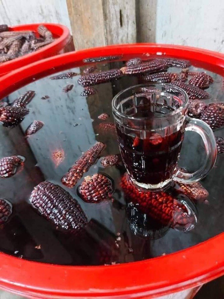 Hướng Dẫn Cách Ngâm Rượu Ngô Tím Chuẩn Vị 8 Cách ngâm rượu ngô tím chuẩn vị Tây Bắc tại nhà