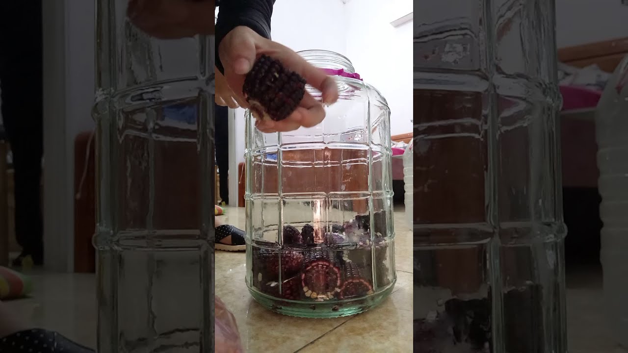 Hướng Dẫn Cách Ngâm Rượu Ngô Tím Chuẩn Vị 3 Cách ngâm rượu ngô tím chuẩn vị Tây Bắc tại nhà