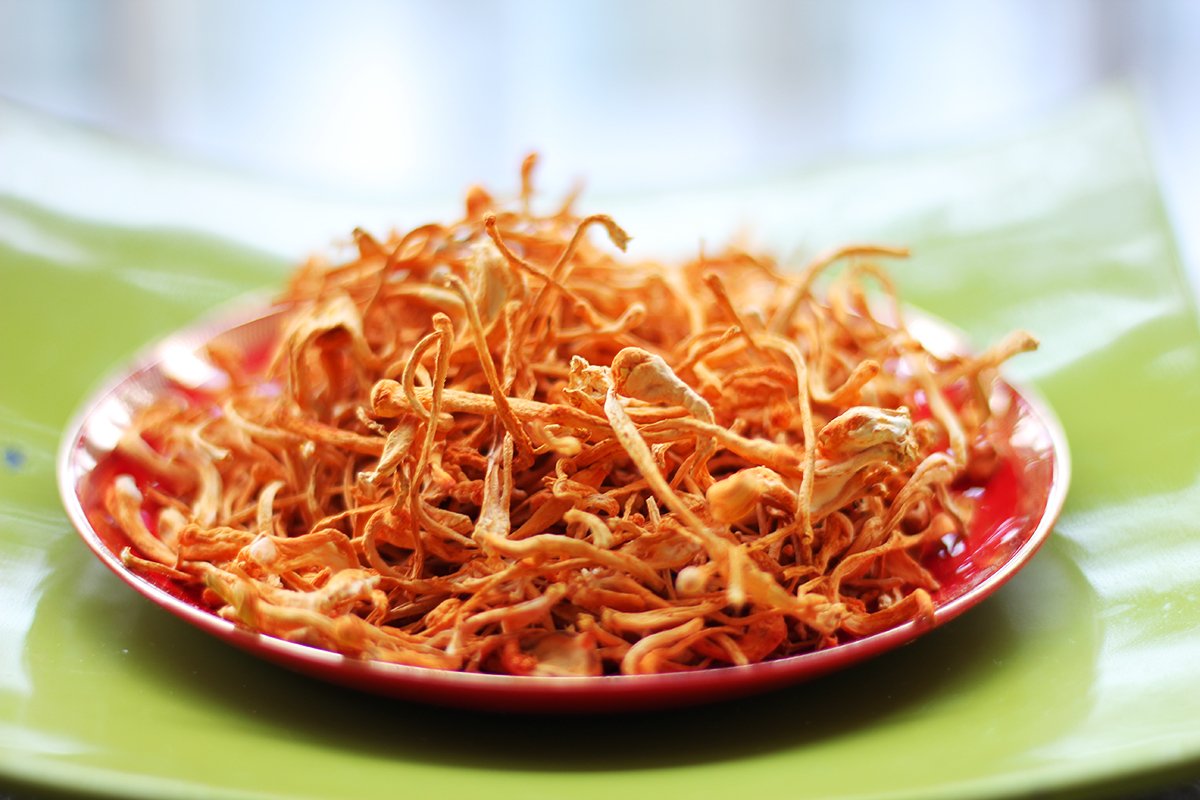 Cách sử dụng đông trùng hạ thảo đúng chuẩn nhất 14 cach su dung dong trung ha thao 6627c8b101a70