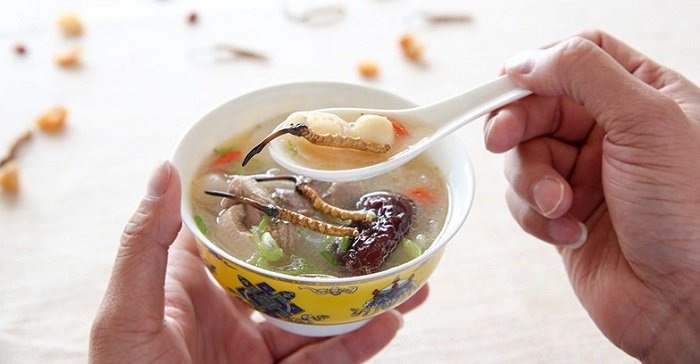 Cách sử dụng đông trùng hạ thảo đúng chuẩn nhất 4 Cách sử dụng đông trùng hạ thảo tươi