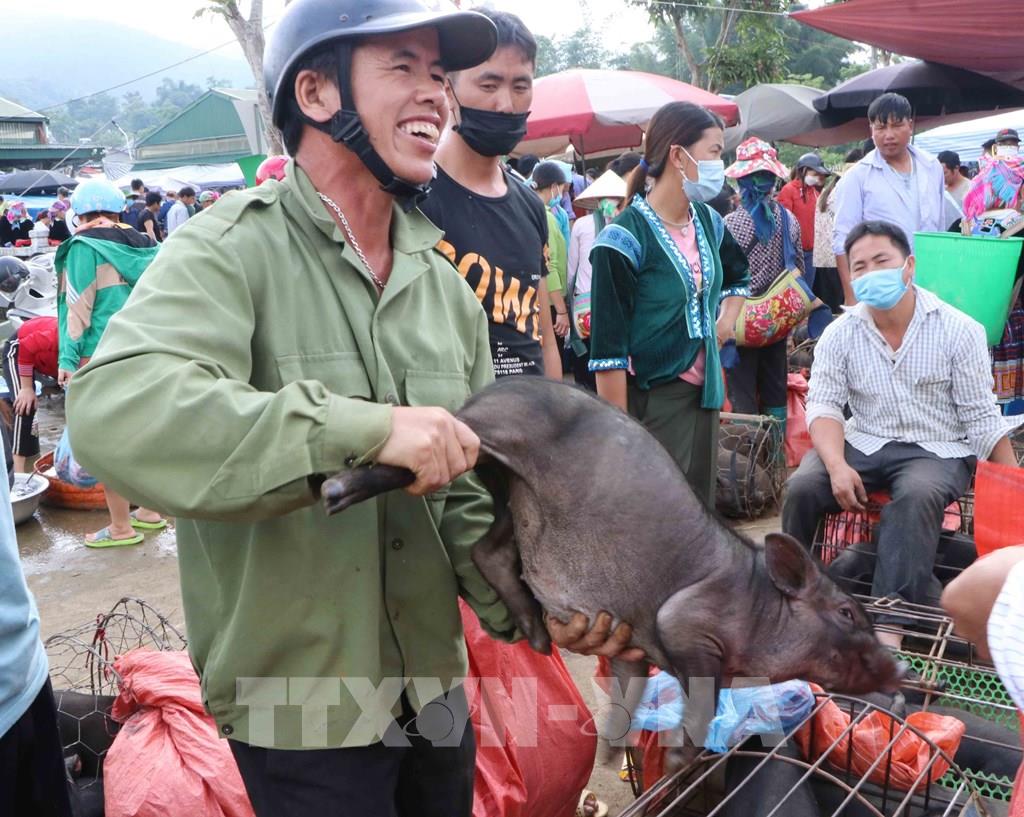 Top 10 đặc sản Tây Bắc đậm đà hương vị núi rừng Top 10 đặc sản Tây Bắc đậm đà hương vị núi rừng