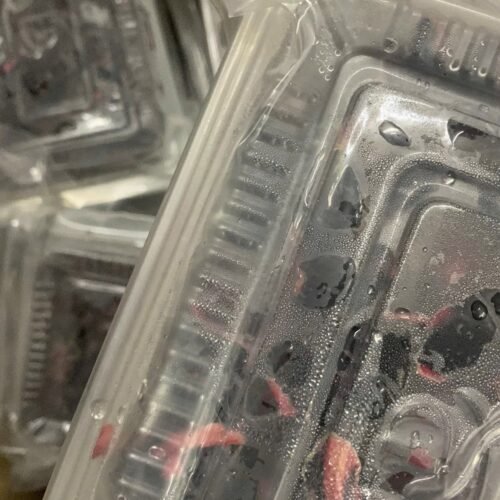 Quả Trám Đen Làm Sẵn - 1 Kg 16 IMG 9357