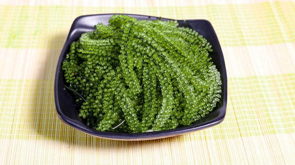 Cách bảo quản rong nho tươi trong tủ lạnh 5 Cách bảo quản rong nho tươi trong tủ lạnh