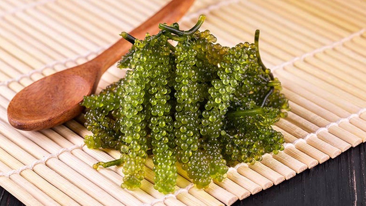 Cách bảo quản rong nho tươi trong tủ lạnh 4 Cách bảo quản rong nho tươi trong tủ lạnh