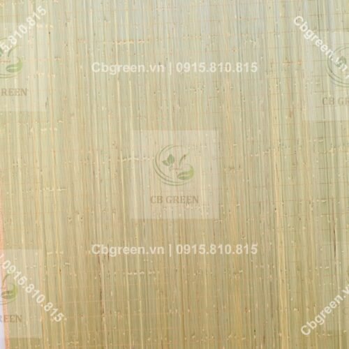 chieu truc cao bang 2