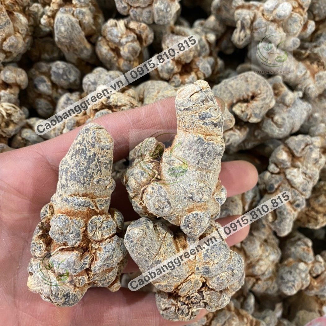 Củ Tam Thất Bắc - 250g 1 Củ tam thất bắc khô