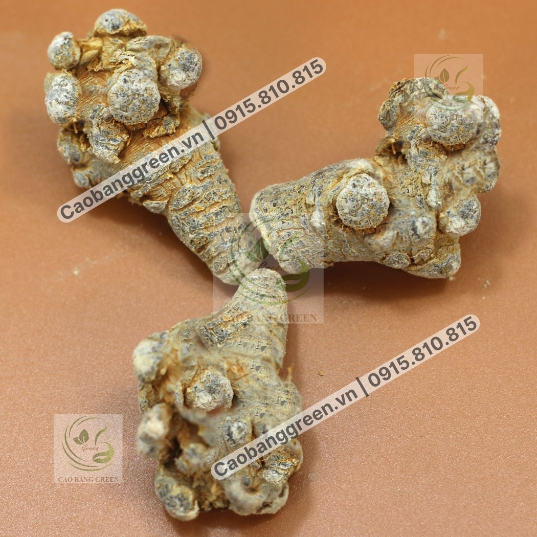 Củ Tam Thất Bắc - 250g 3 Củ tam thất bắc có nhiều tác dụng tốt cho sức khỏe