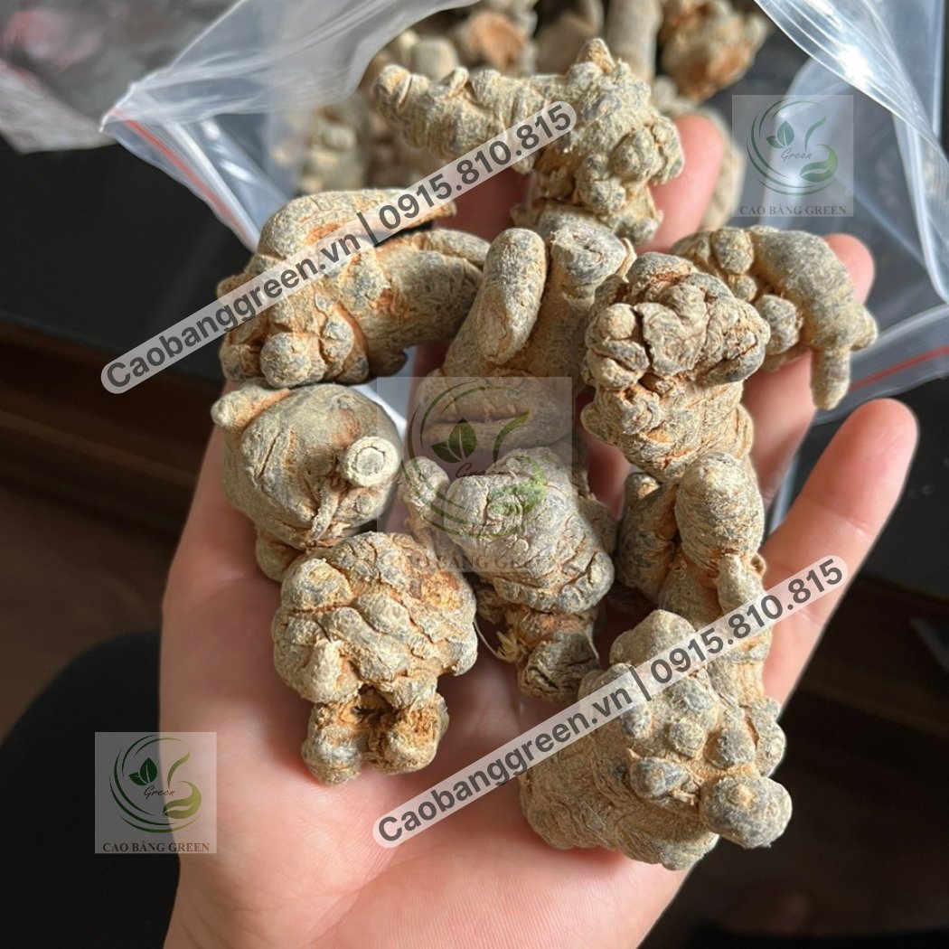 Củ Tam Thất Bắc - 250g 2 Mua Củ tam thất khô tại Caobanggreen.vn.