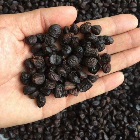 Giá hạt dổi bao nhiêu tiền 1 kg?