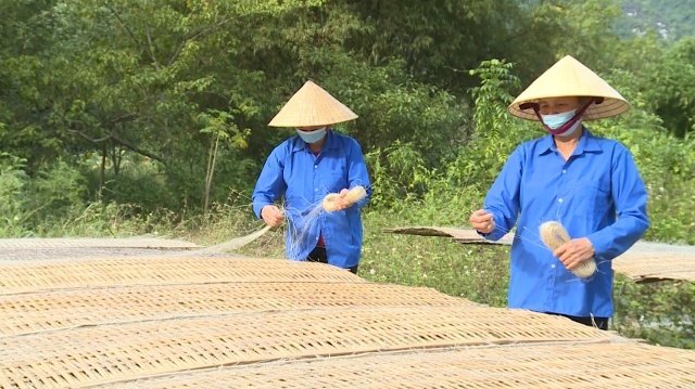 Miến dong Cẩm Thuỷ Thanh Hoá - Đặc sản làng xăm 3 Miến dong Cẩm Thuỷ Thanh Hoá - Đặc sản làng xăm