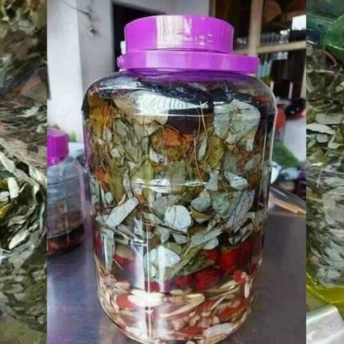 Dâm Dương Hoắc – Thảo Dược Bổ Thận Tráng Dương - 1 Kg 3 Dâm dương hoắc