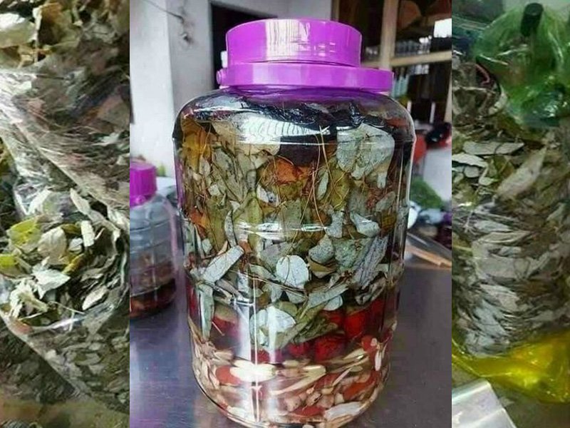 Dâm Dương Hoắc – Thảo Dược Bổ Thận Tráng Dương - 1 Kg 5 Dâm dương hoắc