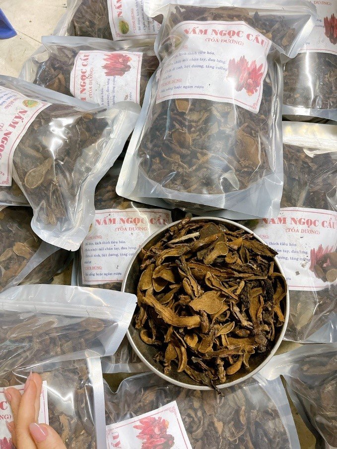 Nấm Ngọc Cẩu Khô - 1 Kg 14 Mua Nấm ngọc cẩu khô nguyên chất - 1 Kg - Caobanggreen.v