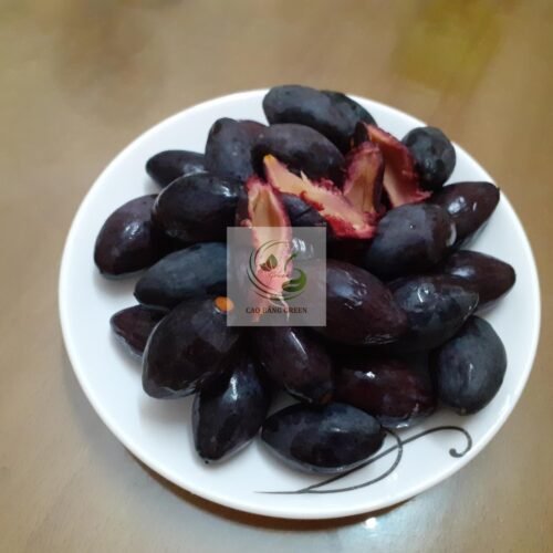 Quả Trám Đen Làm Sẵn - 1 Kg 21 Quả trám đen tươi Cao Bằng