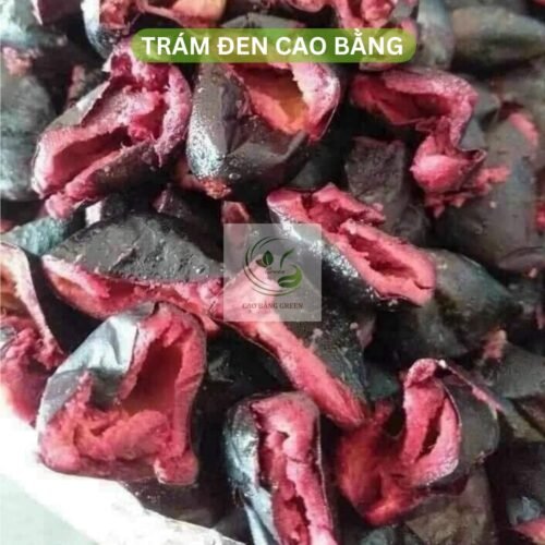 Quả Trám Đen Làm Sẵn - 1 Kg 13 Quả trám đen Cao Bằng đã om sẵn chuẩn nếp rừng hàng ta.