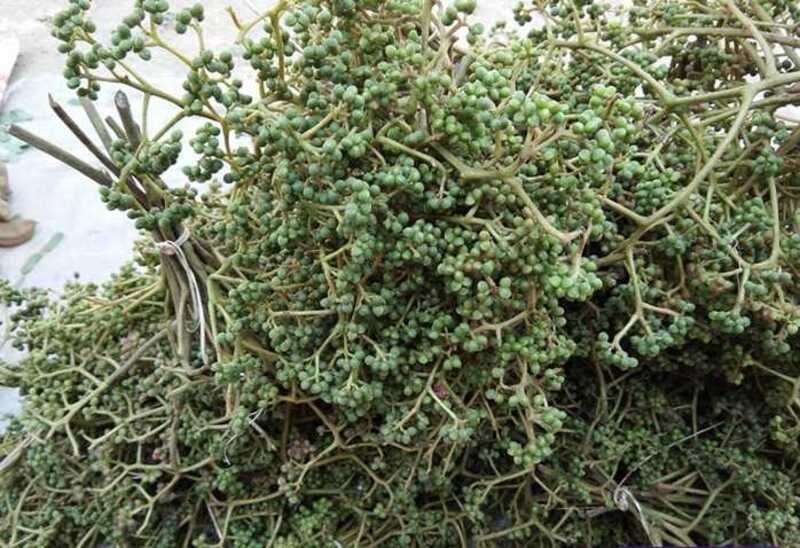 Hạt Mắc Khén Gia Vị Đặc Sản Tây Bắc - 500g 3 hạt mắc khén