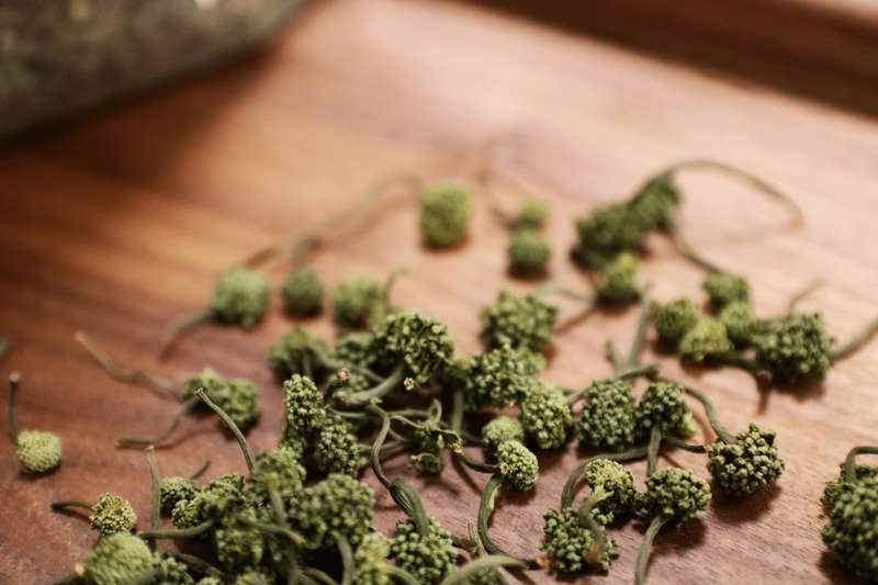 Giá nụ hoa tam thất