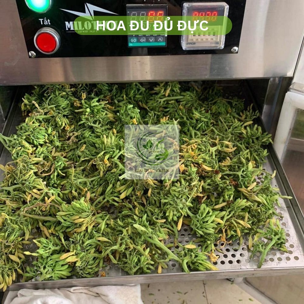 Hoa Đu Đủ Đực Khô - 500g 6 Hoa đu đủ sấy khô