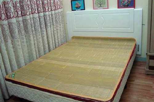 Top 3 Chiếu Trúc Mùa Hè Hot Nhất Hiện Nay 1 Chiếu trúc mùa hè