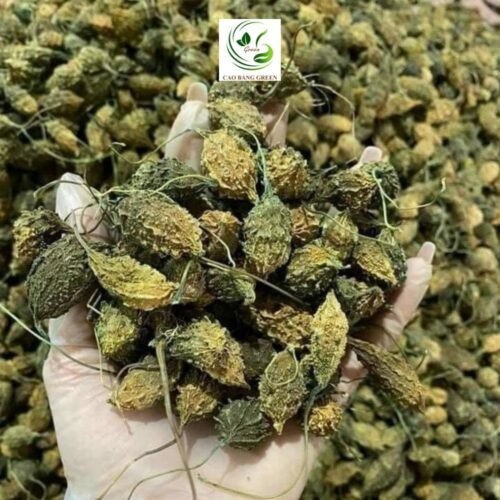Khổ Qua Rừng Khô | 1 Kg 4 Khổ qua rừng nguyên trái tại CB GREEN