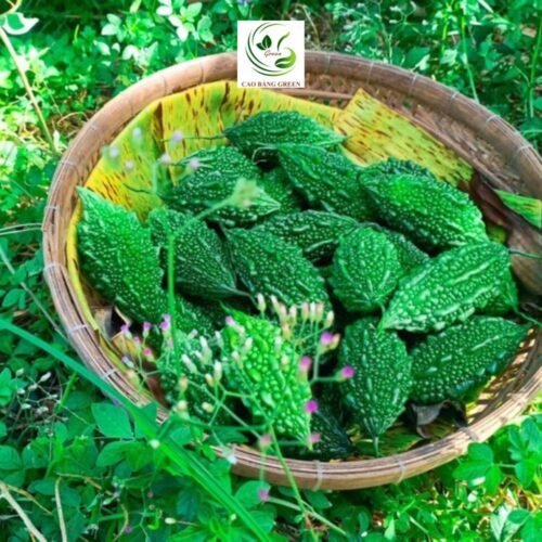 Khổ Qua Rừng Khô | 1 Kg 5 Khổ qua tươi