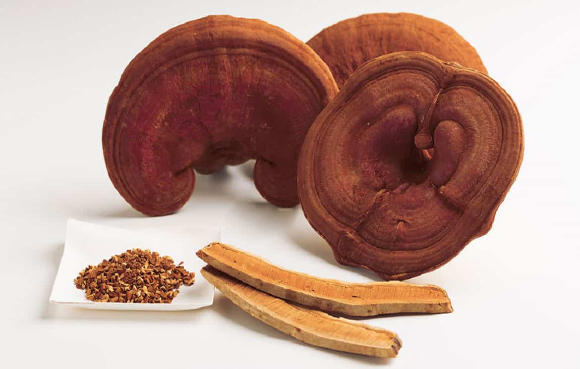 1kg nấm linh chi bao nhiêu tiền?