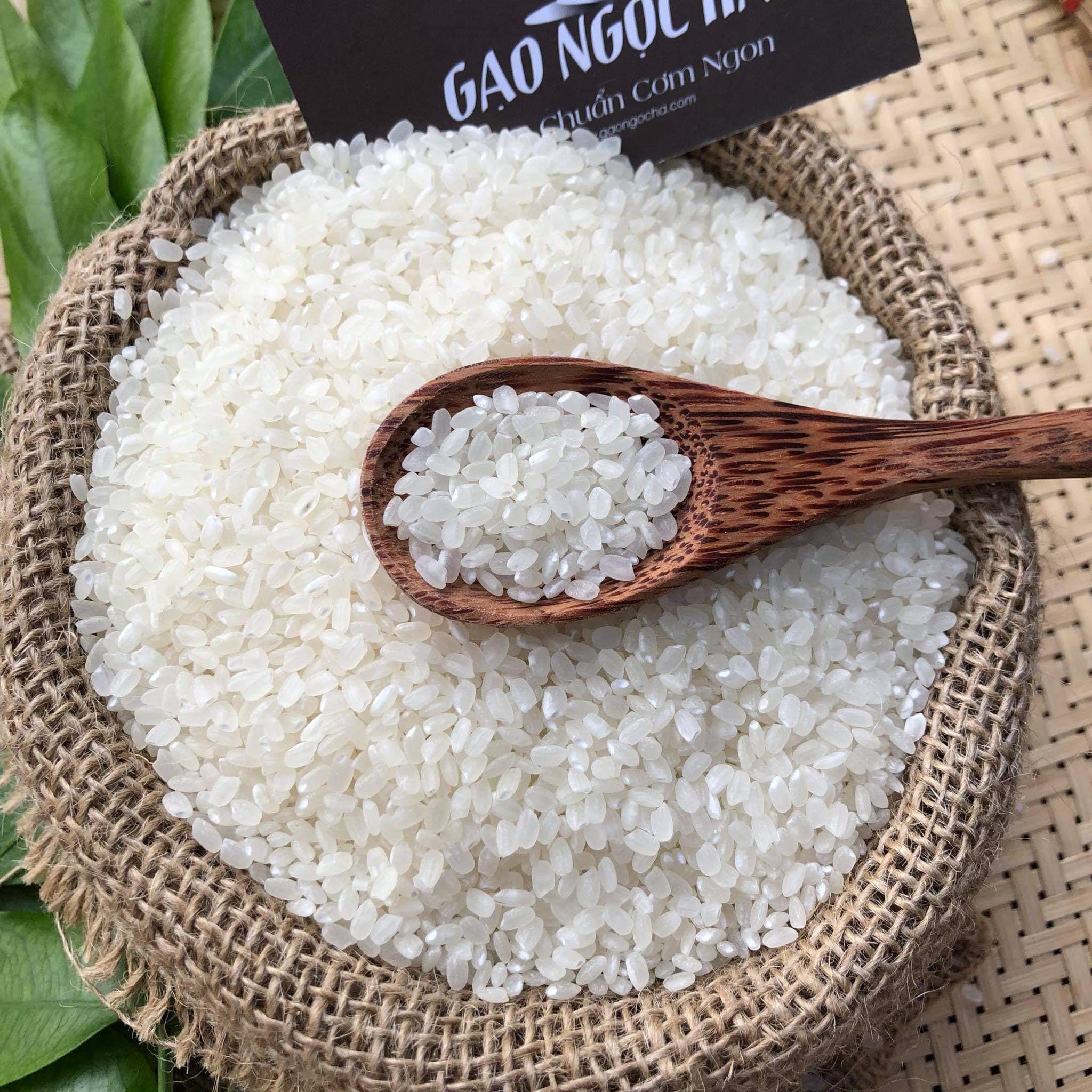 Gạo Séng Cù Hạt Tròn: Sự Tinh Hoa Trong Từng Hạt Gạo 3 Đặc sản Gạo séng cù hạt tròn