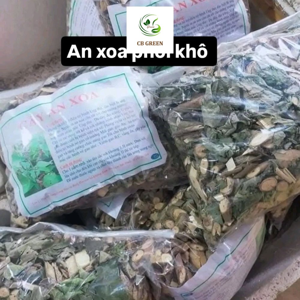 Cây An Xoa – 1Kg 3 Cây An Xoa – 1Kg - Ảnh 3