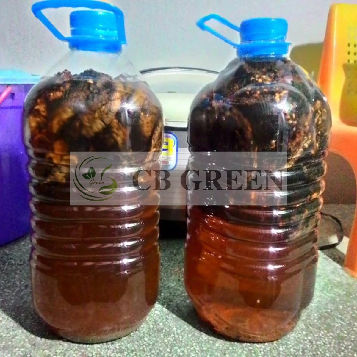 Chuối Hột Rừng Khô –500g 12 Chuối hột rừng ngâm rượu