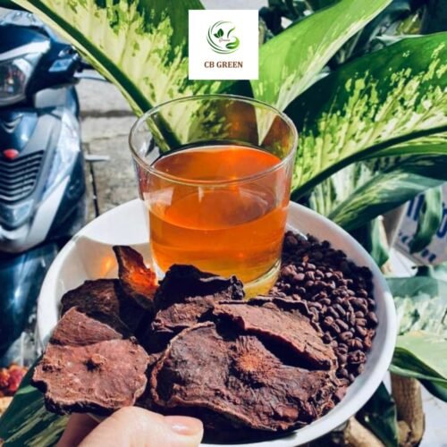 Hà Thủ Ô Đỏ – 500g 8 ha thu o do 4